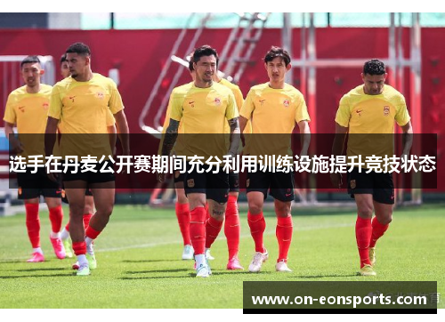 选手在丹麦公开赛期间充分利用训练设施提升竞技状态